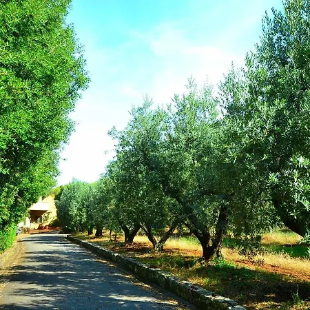 Simple Holiday Home In Castiglioncello With Garden Holiday home *