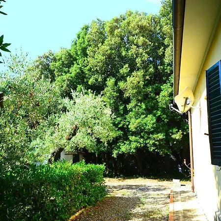 Holiday home Simple Holiday Home In Castiglioncello With Garden