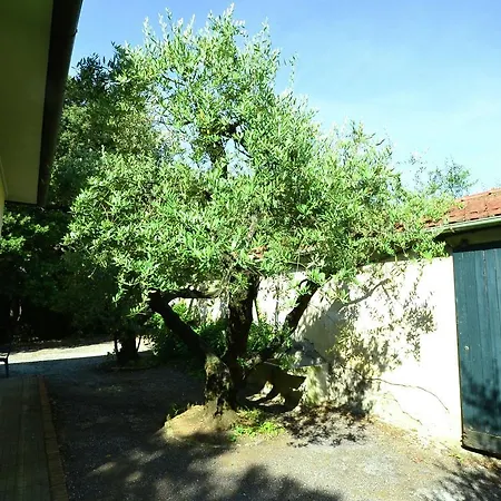 Simple Holiday Home In Castiglioncello With Garden Holiday home Quercianella