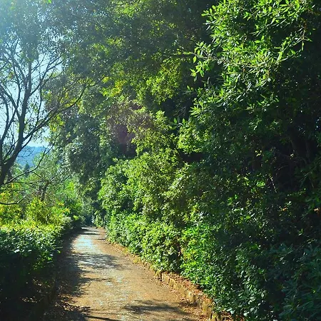 Simple Holiday Home In Castiglioncello With Garden Holiday home